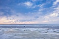 Beach in wintertime. Frozen sea, evening light and icy weather on shore like fairy tale country. Royalty Free Stock Photo