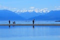 Coastal Landscape at Witty`s Lagoon with Olympic Mountains, Vancouver Island, British Columbia, Canada Royalty Free Stock Photo