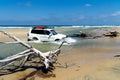 The beach won fraser island there are washed up trees in beautiful weather Royalty Free Stock Photo