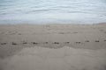 Beach, wool and beach footprints