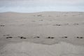 Beach, wool and beach footprints