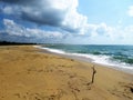 On the beach in Yala national park Sri Lanka. Royalty Free Stock Photo