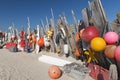 Beachcomber finds near the sea cottage on Vlieland