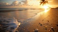 Beachcomber's Paradise: Dawn on Empty Shore./n