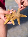 Beachcomber with starfish and shells