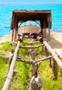 Beached boat in wood railway at Formentera Royalty Free Stock Photo