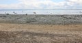 beached boats stranded on sand at low tide