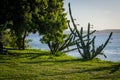 Beaches of Brazil - Pipa, Rio Grande do Norte Royalty Free Stock Photo