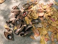 Beaches in Costa Rica. Beach nature - still life.