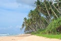 Beaches of Sri Lanka. The sea beach of Sri Lanka. Palm trees, coconuts, white sand, ocean. Royalty Free Stock Photo