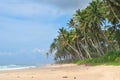 Beaches of Sri Lanka. The sea beach of Sri Lanka. Palm trees, coconuts, white sand, ocean. Royalty Free Stock Photo