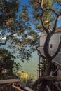 Beachfront apartment building in Tiburon, CA, USA with trees foreground