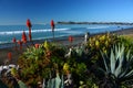 Beachfront garden in Westshore, Hawkes Bay, New Zealand Royalty Free Stock Photo