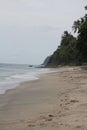 beachfront view with beach waves, white sand and green cliffs overgrown with trees and plants