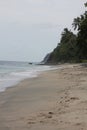 beachfront view with beach waves, white sand and green cliffs overgrown with trees and plants