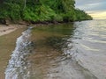 beachfront view with green trees