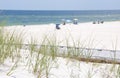 Beachgoers in Florida