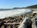 Beachscape with driftwood at Rialto Royalty Free Stock Photo