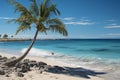 Beachscape symbolism Palm tree form created on shore, a beachside natural depiction