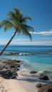 Beachscape symbolism Palm tree form created on shore, a beachside natural depiction