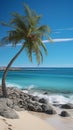 Beachscape symbolism Palm tree form created on shore, a beachside natural depiction