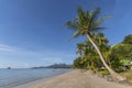 Beachside with coconut tree, Koh Chang, Thailand.