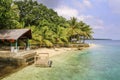 beachside with palms on aore island in Vanuatu