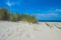 Beachside Zeeland Royalty Free Stock Photo