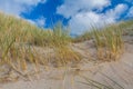 Beachside Zeeland Royalty Free Stock Photo