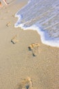 Beachwalk on the sea Royalty Free Stock Photo