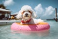 Beachy Bichon: A Whimsical Image of a Pup in Shades Relaxing on a Colorful Float - Generative AI