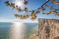 Beachy Head with chalk cliffs against spring limb near the Eastbourne, East Sussex, England Royalty Free Stock Photo