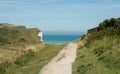 Beachy Head near Eastbourne, Sussex, England Royalty Free Stock Photo