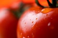 Bead of water rolling off side of wet tomato Royalty Free Stock Photo