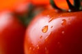 Bead of water rolling off side of wet tomato Royalty Free Stock Photo