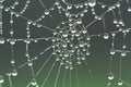 Beaded Cobweb