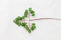 Beaded fir tree branch on white fabric background. Process of making of jewelry and decorative beaded elements. Royalty Free Stock Photo