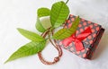 Beaded necklace with a gift box Royalty Free Stock Photo