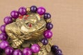 Beads jewelry and money frog.
