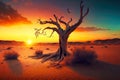 beaful sunset in desert and lonely dead tree