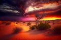 beaful sunset sky in evening in wild desert dunes