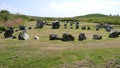 Beaghmore Neolithic Stone Circles Tyrone Northern Ireland Royalty Free Stock Photo