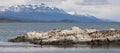 Beagle Channel near - Ushuaia - Tierra del Fuego - Argentina Royalty Free Stock Photo