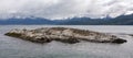 Beagle Channel near - Ushuaia - Tierra del Fuego - Argentina