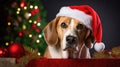 Beagle Christmas dog background. Happy New Year, Merry Christmas concept. Portrait of Cute Beagle puppy breed wearing