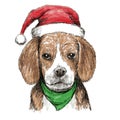 Beagle with christmas hat