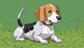 A beagle dog with a brown collar sitting on the grass