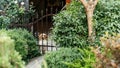 Beagle dog in the courtyard of a house in the summer in the evening behind bars