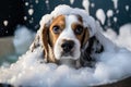 Sweet Beagle Dog Covered in Foam. AI Generative