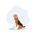 beagle Dog with elizabethan collar. Plastic cone of Shame. Flat vector cartoon illustration Royalty Free Stock Photo